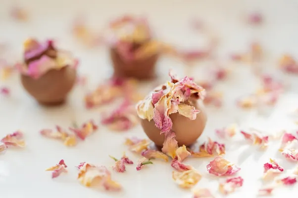 Rocket Slots Casino Android/iOS App